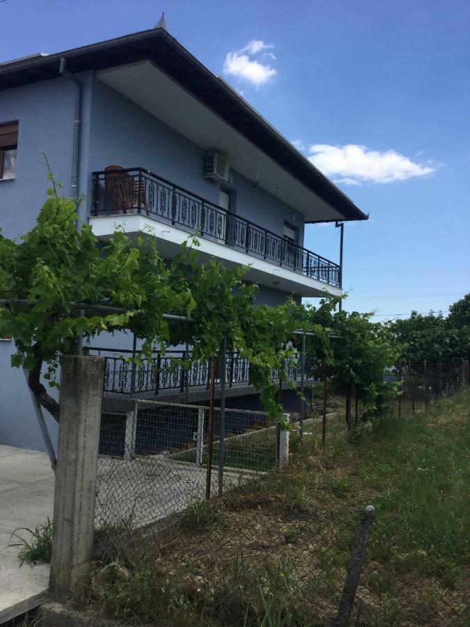 Mario'S House Apartment Vergina Exterior photo